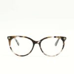 Gucci GG0093O - 009 havana